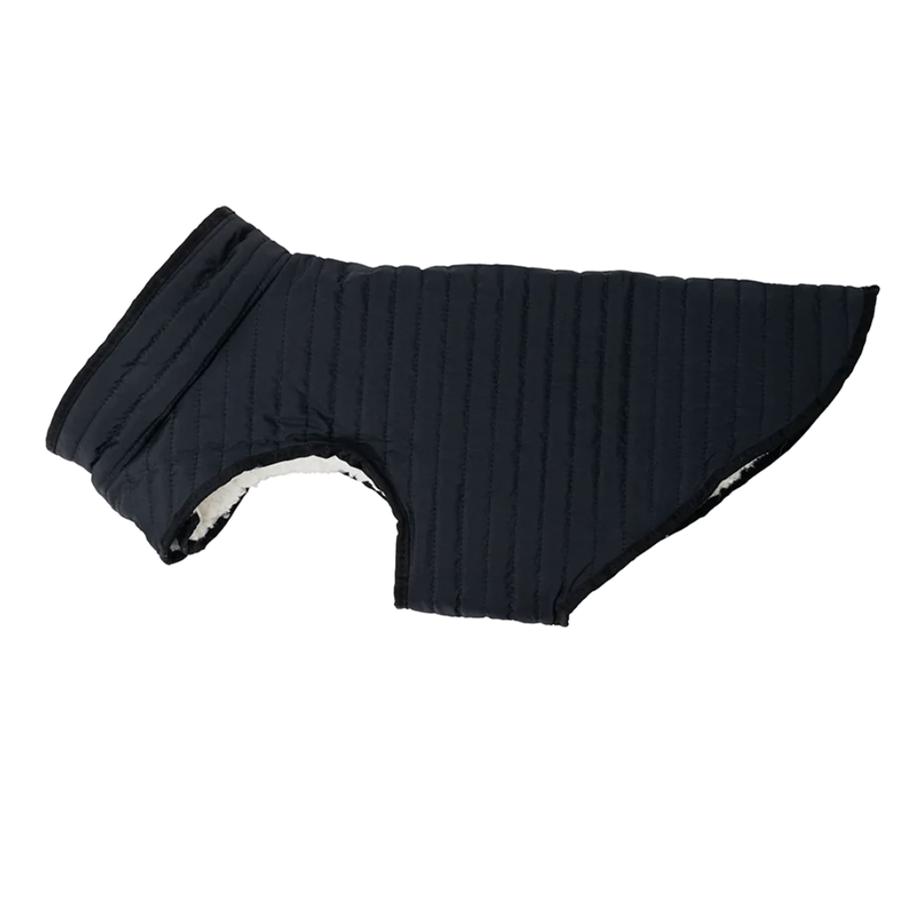 Dog Clothing