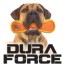 DuraForce Bone Dog Toy