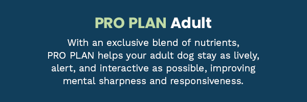 Pro Plan Adult
