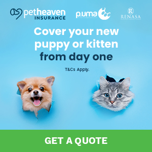 App Food Campaign