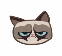 Grumpy Cat