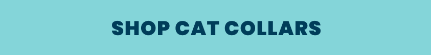 Cat collars